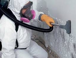 Best Asbestos and Lead Testing During Mold Inspection  in Howe, TX